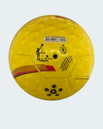 Balón Golty Profesional CMI Unisex