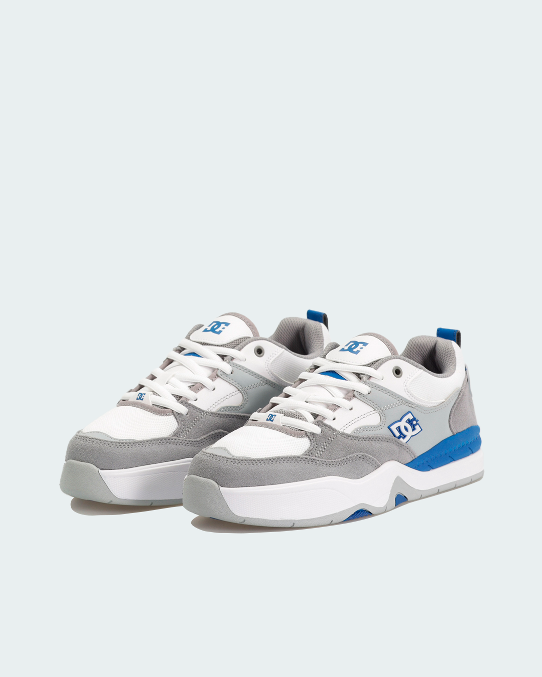 Tenis DC Ascend Hombre